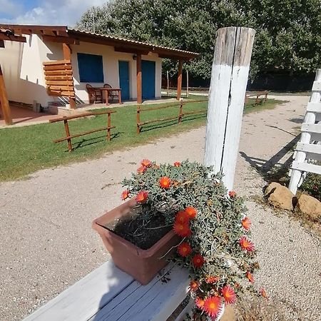 Agriturismo Oca Giuliva ลิโด เด ปินี ภายนอก รูปภาพ