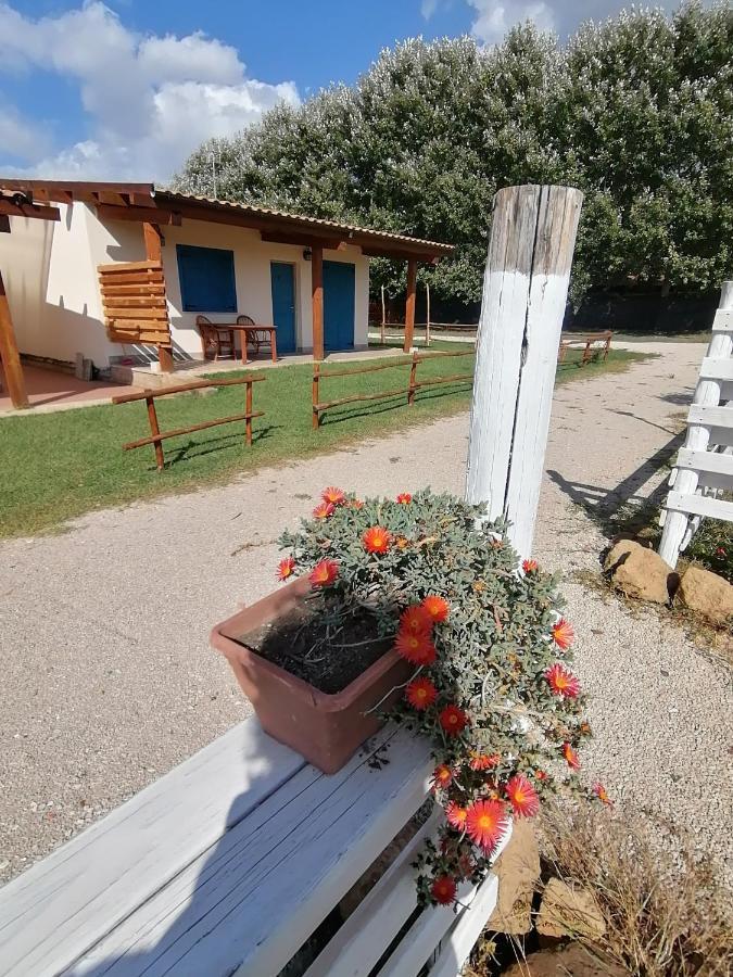Agriturismo Oca Giuliva ลิโด เด ปินี ภายนอก รูปภาพ